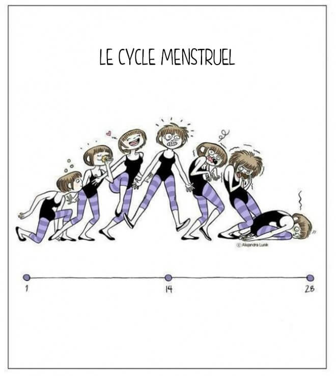 le cycle menstruel