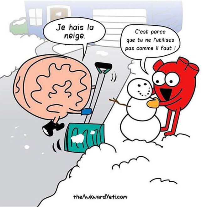 the awkward yeti