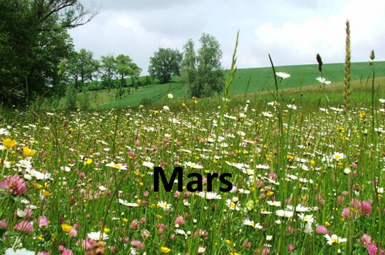 mars